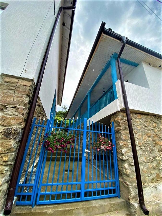 Цяла Ваканционна Къща- Florina Houses Otel Goranovtsi Dış mekan fotoğraf